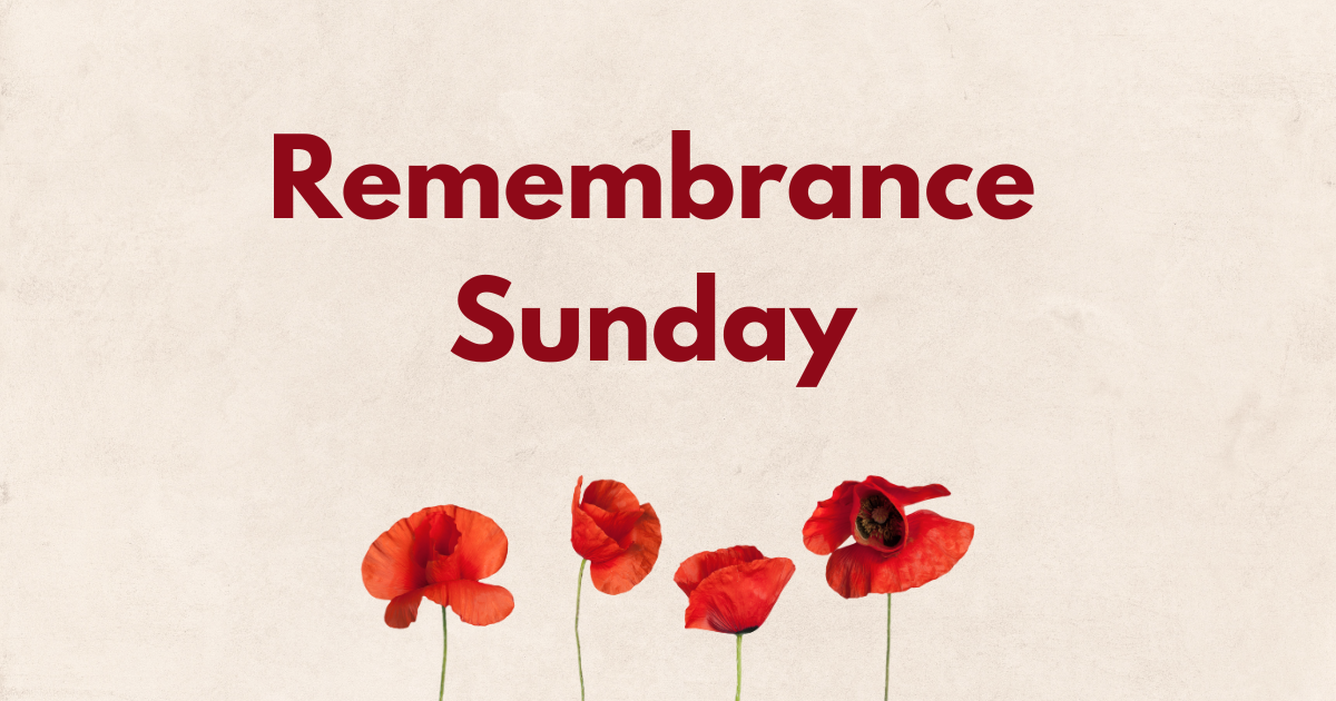 Red Remembrance Day Poppy Flow