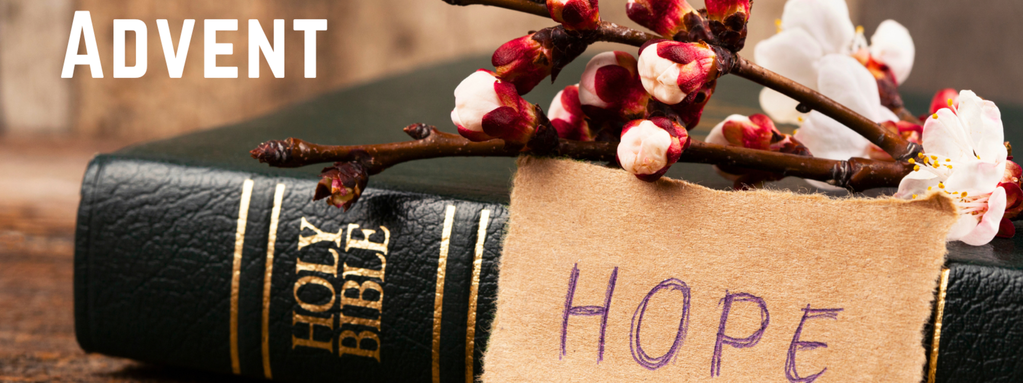 OnlineWednesday (Facebook Cove